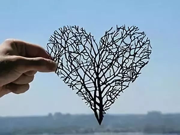 1546478066661007860.jpg 640 (4).jpg